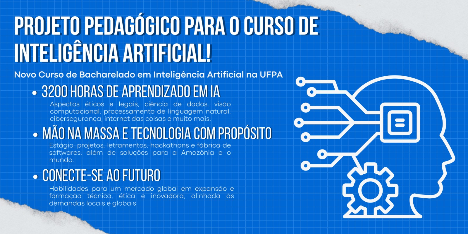 Novo Projeto Pedagógico do Curso de Bacharelado em Inteligência Artificial